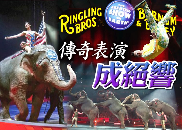 ������Ϸ�Ž���Ϊ������