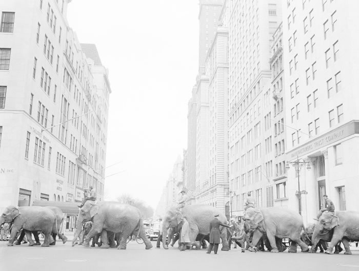 ������Ϸ�ų�����1871�ꡣ