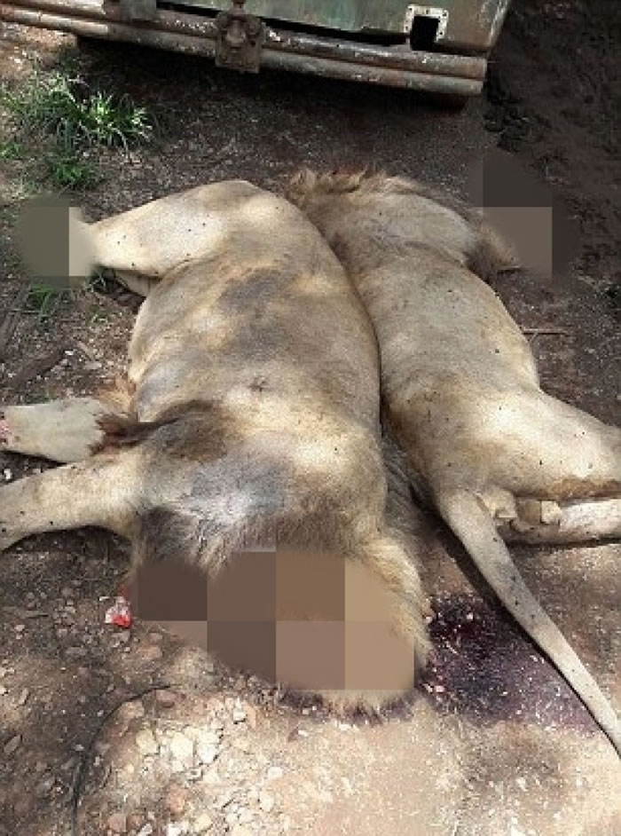 截走的部分相信被用作巫术。