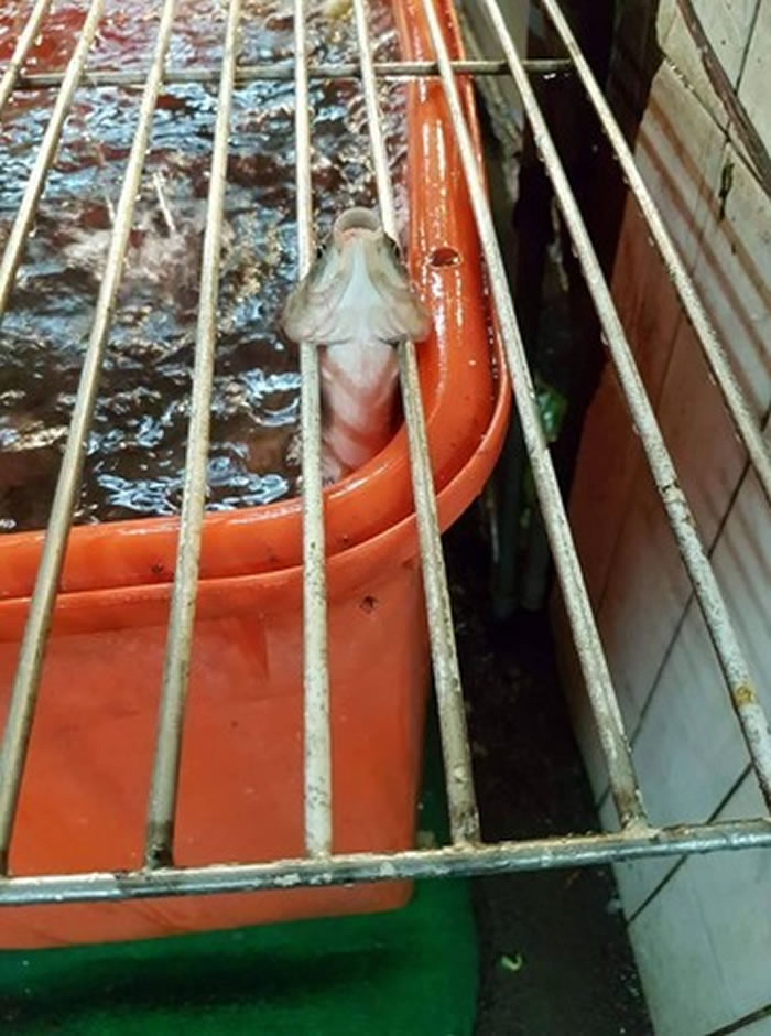 ���˲��ã�������ˮ�澹���������ϵ��������ϵ�