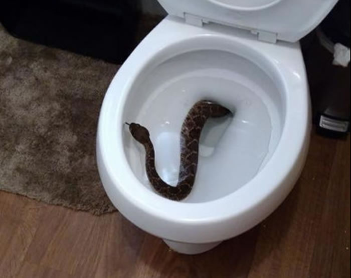 ����������ͯ�ϲ���������Ͱ�������������Ʊ���β�� ר�����ڼ��з�������23��