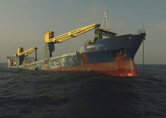 货柜船取名为“挪威海怪”。