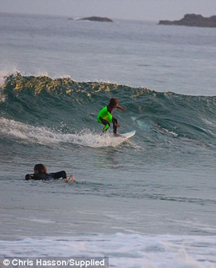 澳洲10岁男童独自冲浪疑遇悠闲大白鲨
