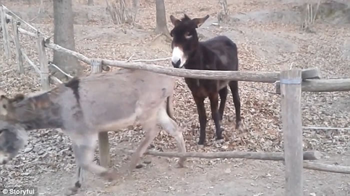 ¿���������ȴ��դ����ס һ�Ժ�¿ҧסľͷ���·Ŵ�ҳ�ȥ