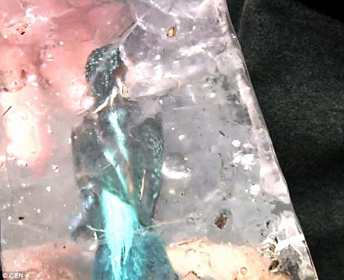 ¹ͷֻǱˮ׽Ĵұѩɱש