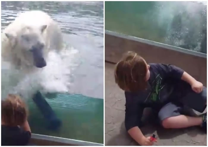 ����ŦԼ����԰�����ܸ��Ų��������ˡ� ��ͯ�ŵ�����