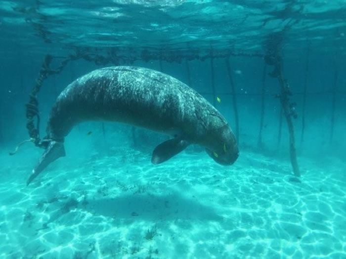 ӡ��ɿ��ǵ�ǱˮԱǱˮ�����������㡱��������