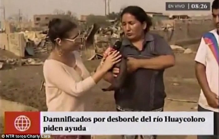 ��³���˽��ܲɷ�ʱͻȻ���¸���ι�� ���ߵ����ƿ�����