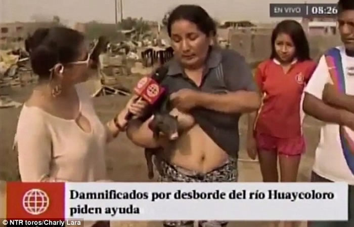 ��³���˽��ܲɷ�ʱͻȻ���¸���ι�� ���ߵ����ƿ�����