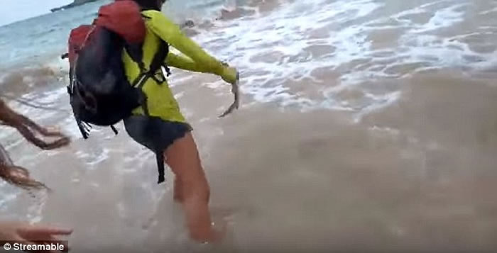 巴西海洋国家公园情侣海边捞鲨鱼幼崽自拍