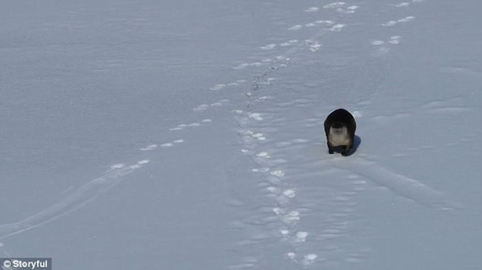 ������ʯ���ҹ�԰��̡��������ˣ�ִ˲�ƣ