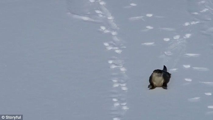 ������ʯ���ҹ�԰��̡��������ˣ�ִ˲�ƣ