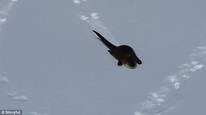 ������ʯ���ҹ�԰��̡��������ˣ�ִ˲�ƣ