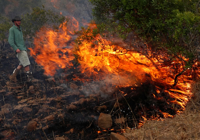 武装牧民放火烧死动物,以利抢水。
