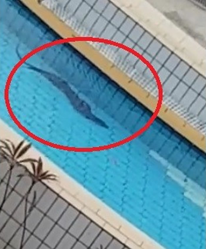 Բ�Ǿ������¼���ԣ�ȶ���Ӿ��������ˣ