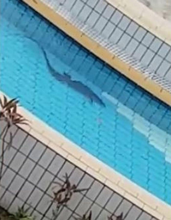 Բ�Ǿ������¼���ԣ�ȶ���Ӿ��������ˣ