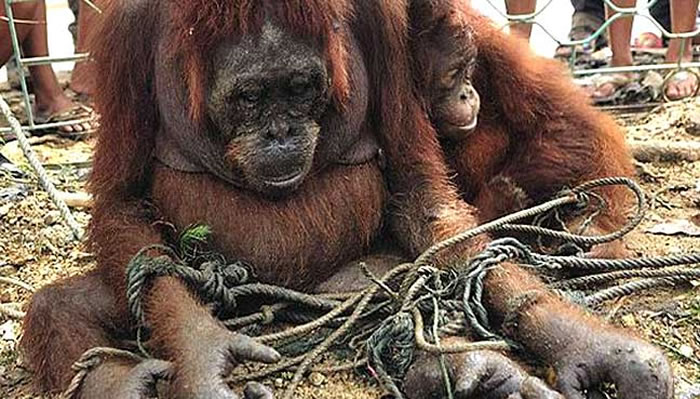 ëڹȥ60Ѿ˳һ룬Σ