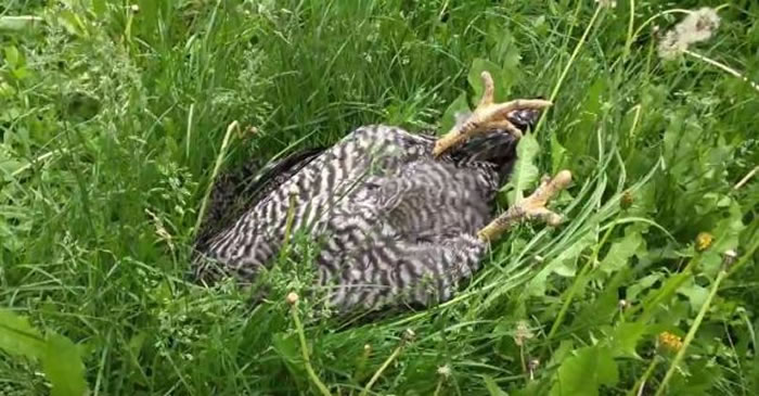 �����У��ݴԾ���ĸ�����ǡ������� ��ǰ��һ�¾�������