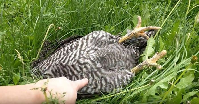 �����У��ݴԾ���ĸ�����ǡ������� ��ǰ��һ�¾�������