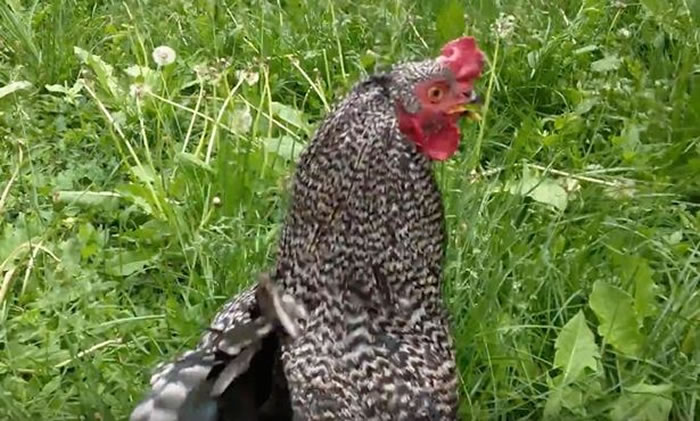 �����У��ݴԾ���ĸ�����ǡ������� ��ǰ��һ�¾�������