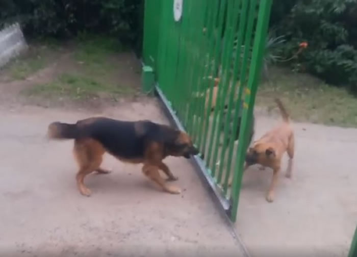 ��ҧ�Ұ�����ֻ�����ŵ綯դ���������ͽ��� ���Ŵ�ʱ˫��ȴһ���ɢ