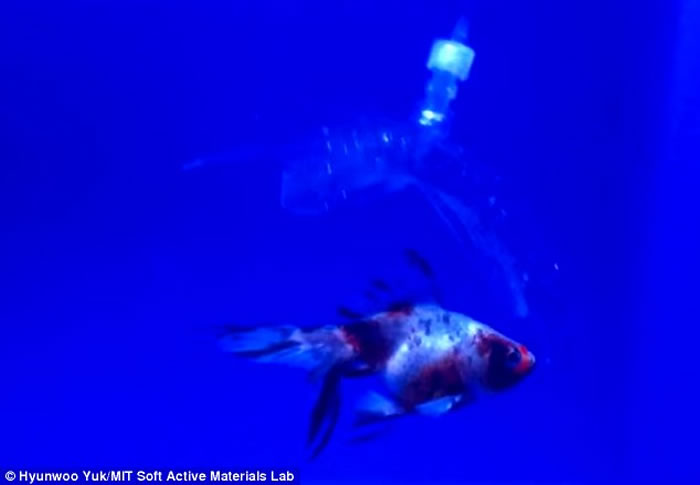 ������ʡ����ѧԺ���Ƴ���ˮ������ˡ� ͸��������Ǳ��׽��