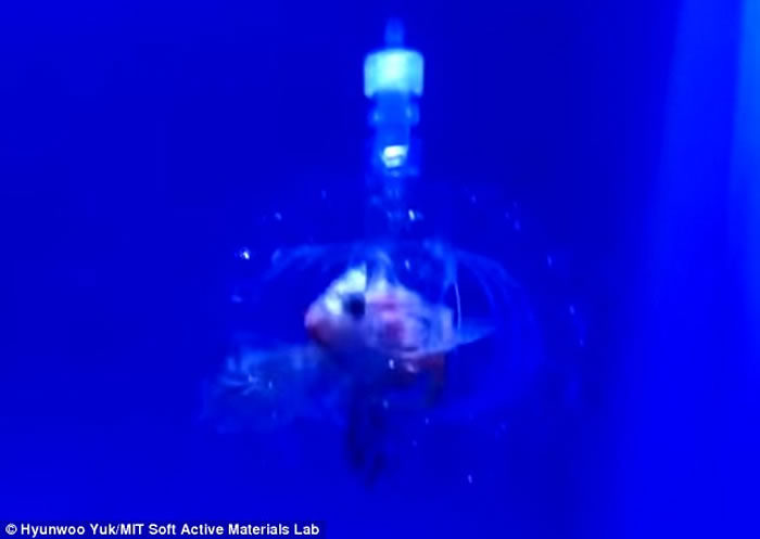 ������ʡ����ѧԺ���Ƴ���ˮ������ˡ� ͸��������Ǳ��׽��