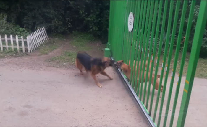 ��ҧ�Ұ�����ֻ�����ŵ綯դ���������ͽ��� ���Ŵ�ʱ˫��ȴһ���ɢ