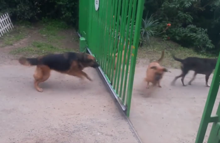 ��ҧ�Ұ�����ֻ�����ŵ綯դ���������ͽ��� ���Ŵ�ʱ˫��ȴһ���ɢ