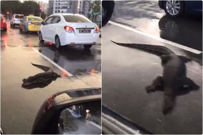 �����������ڵ��ϣ���Ҳ������