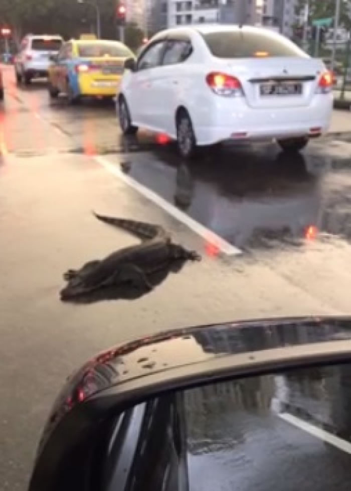 ����Ծ�������е��������档