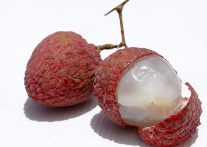 ��֦����ڴθʰ��ᣬ����������������ǡ�������ͼƬ��