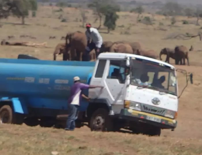 ���̶������ ������ũ��������������ˮ����������ֹ��