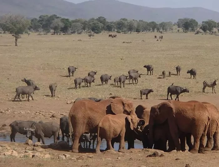 ���̶������ ������ũ��������������ˮ����������ֹ��