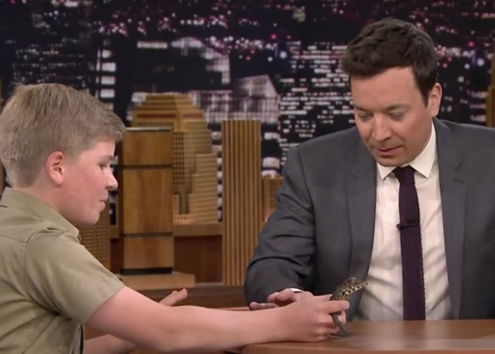 罗伯特(左)手上拿着非洲侏儒鳄。