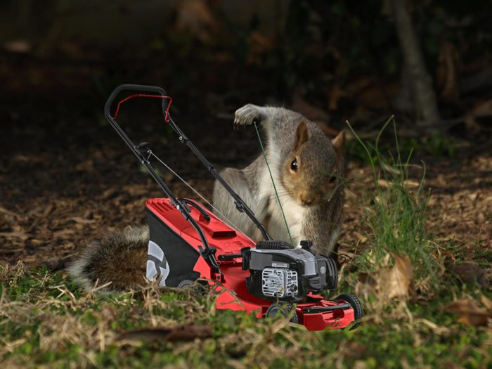 ��������Ӣ�ۣ�������������Ƭ�������������ͼ