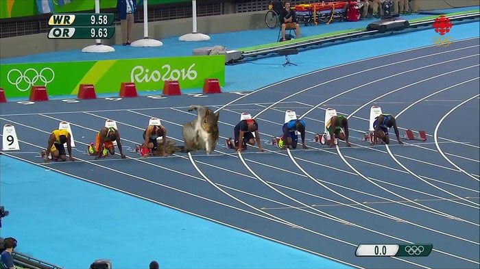 ��������Ӣ�ۣ�������������Ƭ�������������ͼ