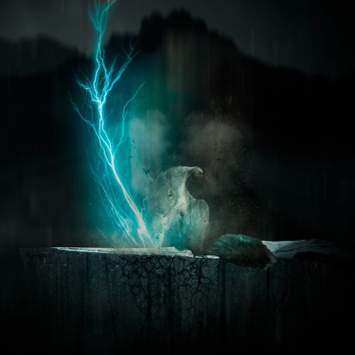 ��������Ӣ�ۣ�������������Ƭ�������������ͼ