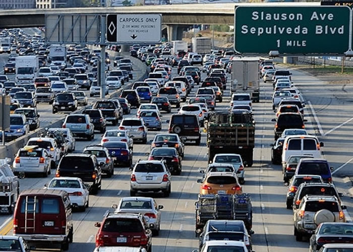 ��ɼ����Ϊȫ����³����С�