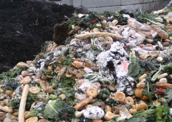 ȫ��ÿ���д���ʳ�ﱻ�˷ѡ�