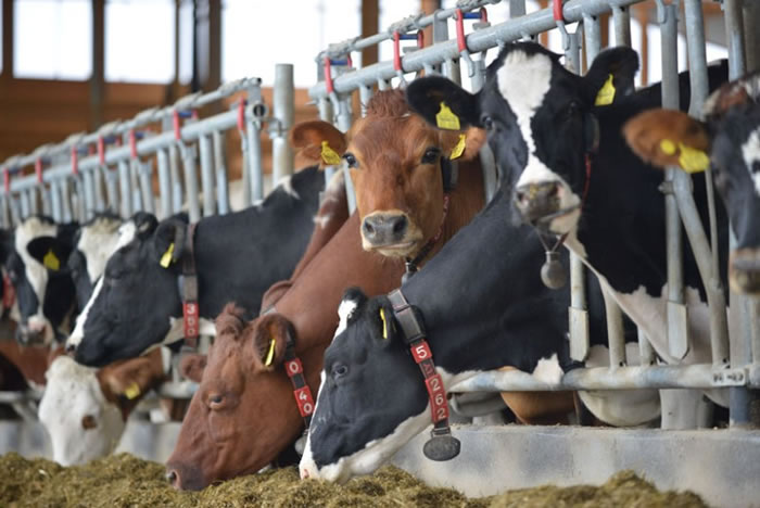 ����ҵ������������ָ�ǳ�ûЧ��