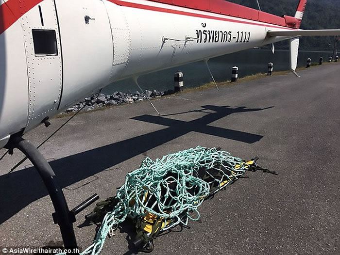 泰国直升机运送亚洲黑熊到巴真府国家公园 却从空中摔下惨死