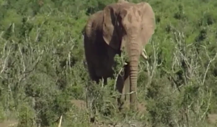 �о�ָҰ��������ֻ˯��Сʱ ���θ��ذ��쳣��������