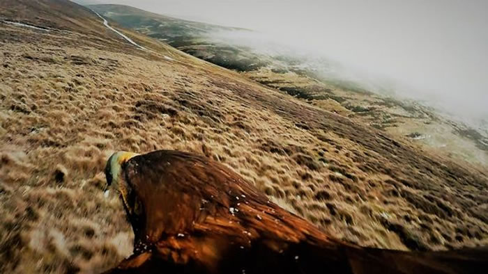 Ӣ����Ӱʦ����ͷ���ڽ�����ĵ��𺳲���ѩ�þ�ͷ