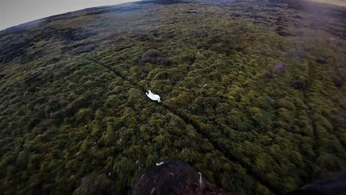 Ӣ����Ӱʦ����ͷ���ڽ�����ĵ��𺳲���ѩ�þ�ͷ