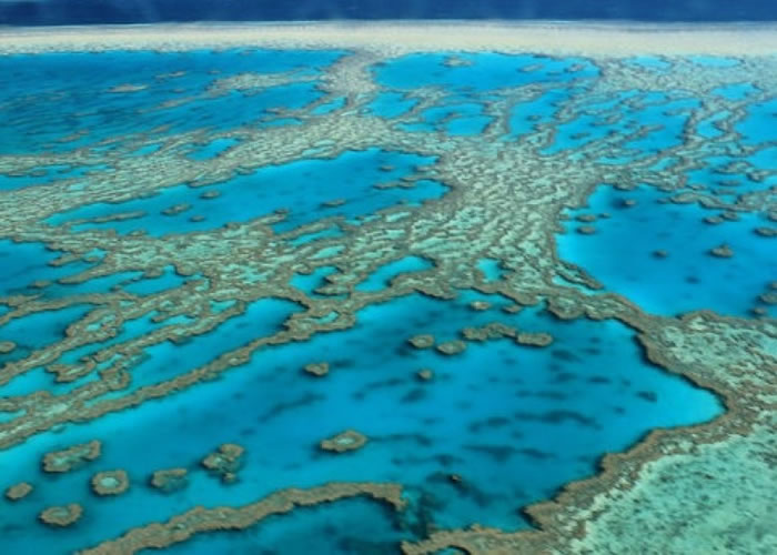 �󱤽�����ģɺ���׻���