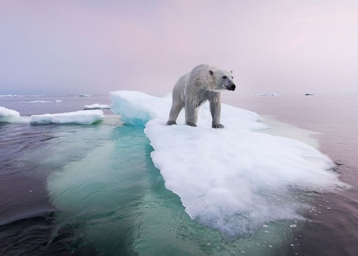全球暖化加剧北极地区融冰,海平面上升。