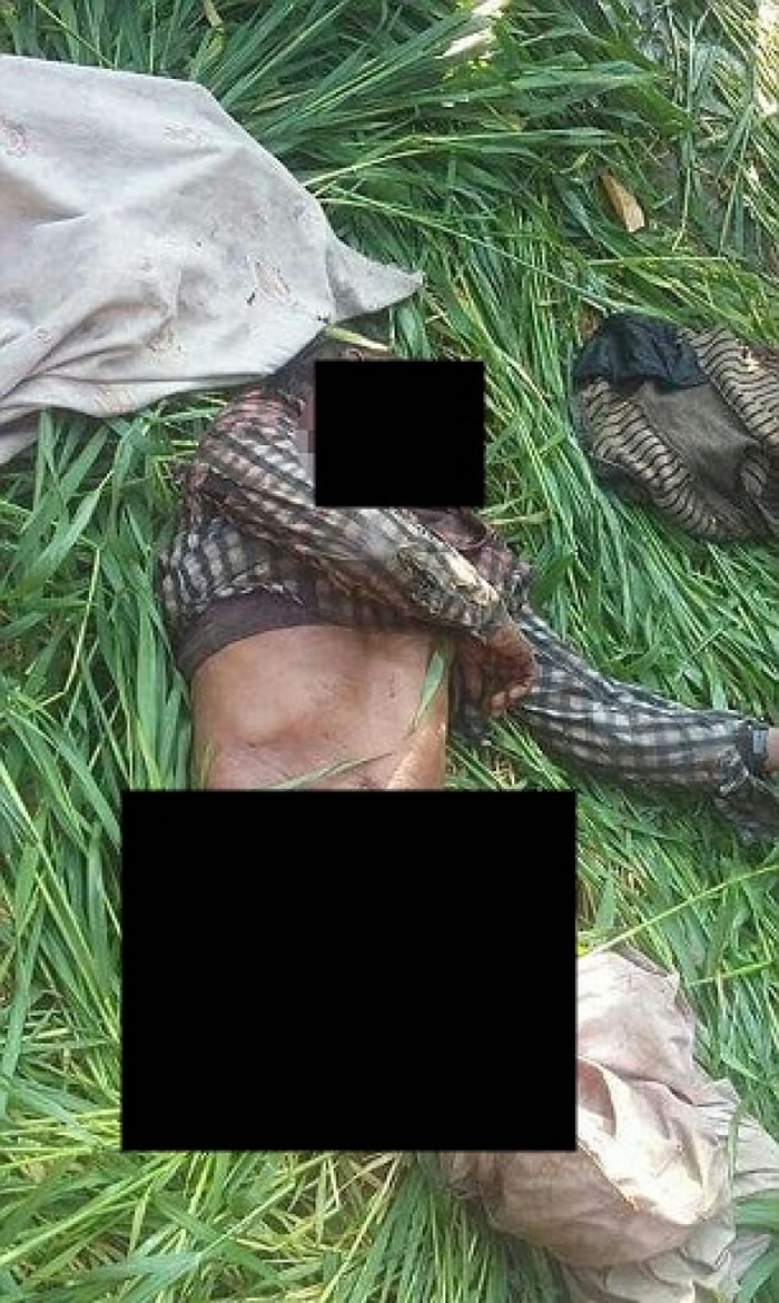 ��ʱ�ϻ�������һ������ʬ�塣