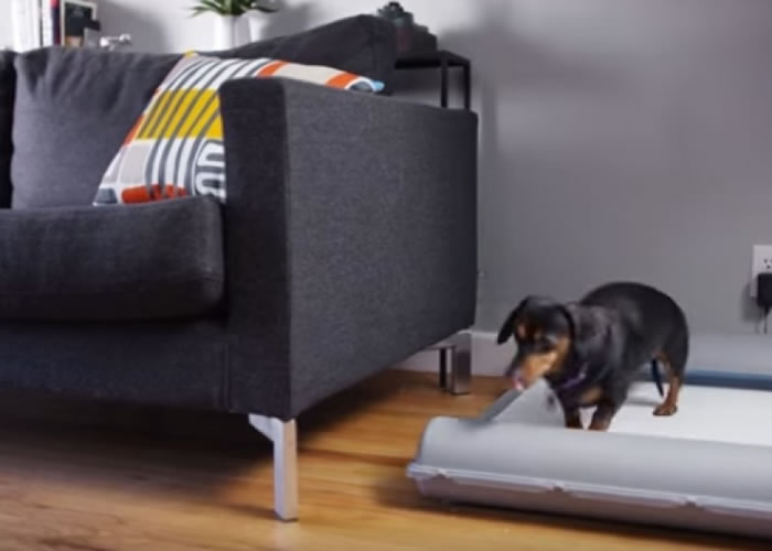 狗主只需按一下开关,便盆内置的微型静音发电机就会转动滚轴。