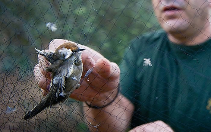 ����ָժӢ�������²�����